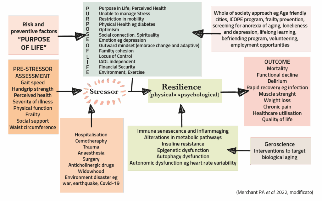 Longevity e Resilienza - Bad Moos 2025
