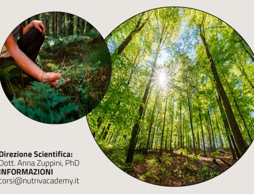 Forest bathing per rinforzare  la capacità di adattamento – A. Zuppini