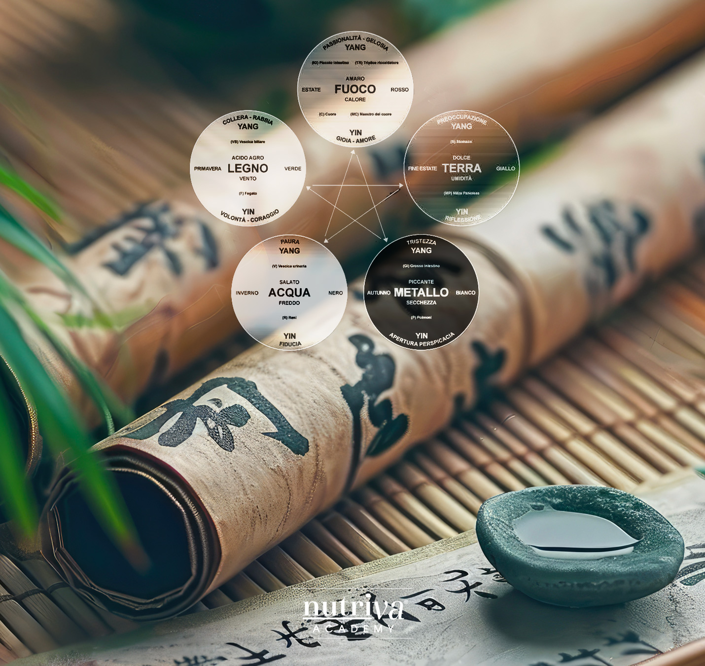 Tecniche base di Medicina Cinese per i Professionisti Sanitari e del Benessere - Corsi in presenza il lunedì - Ottobre-Novembre-Dicembre 2025